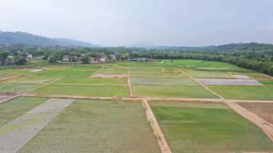 铜梁建成高标准农田54万亩。 铜梁建成高标准农田54万亩。