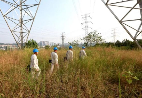 图为5月2日国网重庆市北供电公司员工在渝北区铁山坪片区开展线路巡视。向江摄 图为5月2日国网重庆市北供电公司员工在渝北区铁山坪片区开展线路巡视。向江摄
