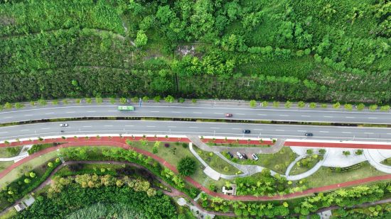 忠县交通干道沿线、江河库岸形成“绿带”。 忠县融媒体中心供图