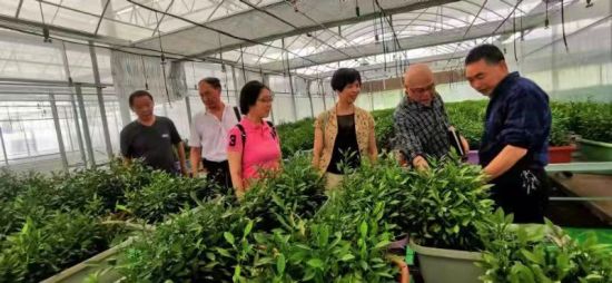 图为铜梁老科协组织专家调研果苗生长情况。 赵武强 摄 图为铜梁老科协组织专家调研果苗生长情况。 赵武强 摄