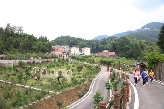 图为客人在石上生花赏景。巫山县委宣传部供图 图为客人在石上生花赏景。巫山县委宣传部供图