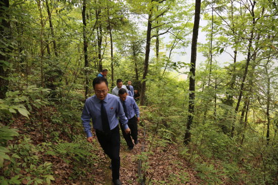 ͼΪ���ɾ���ɽѲ�鶯ֲ�ﱣ������� ��ɽ��ί��������ͼ