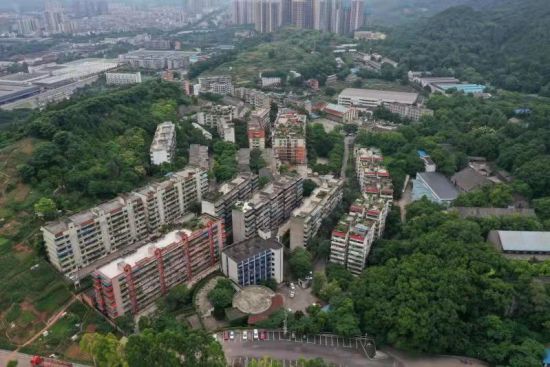 图为满目苍翠的青杠街道青山社区。 璧山区委宣传部供图 图为满目苍翠的青杠街道青山社区。 璧山区委宣传部供图