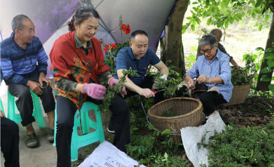 图为在石龙桥村的花椒地里召开的“三级院坝会”。璧山区委宣传部供图 图为在石龙桥村的花椒地里召开的“三级院坝会”。璧山区委宣传部供图