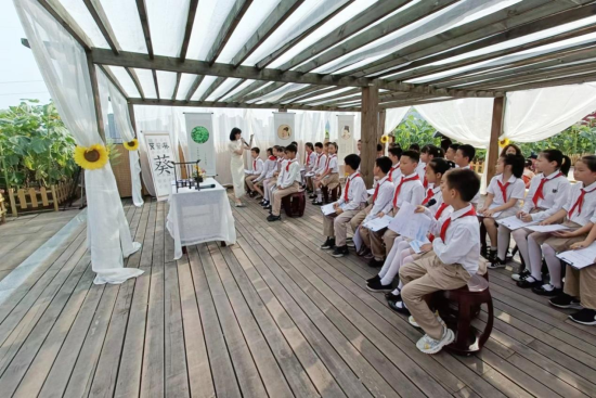 图为师生在向日葵花海中上课。 刘霞 摄 图为师生在向日葵花海中上课。 刘霞 摄