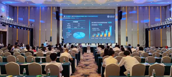 图为比赛现场。濮加红 摄 图为比赛现场。濮加红 摄