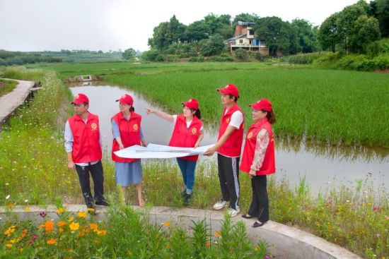 石宝寺村支两委班子在稻渔基地谋划未来发展。 永川区委组织部供图