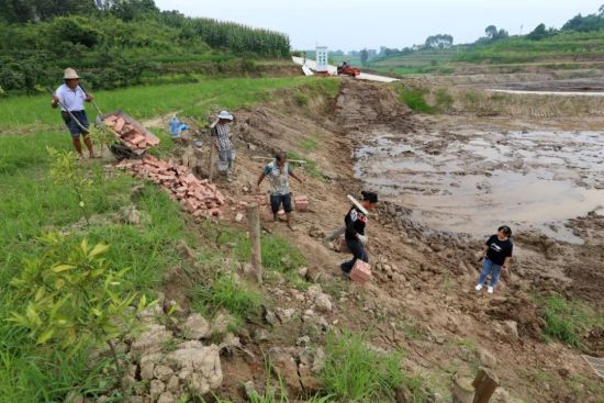 党员种植大户刘连友稻渔基地施工现场。 永川区委组织部供图 党员种植大户刘连友稻渔基地施工现场。 永川区委组织部供图