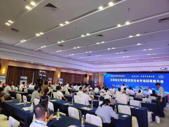图为推荐会现场。活动举办方供图 图为推荐会现场。活动举办方供图