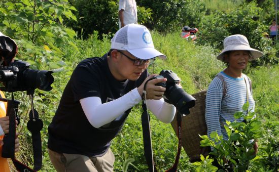 图为实践团成员拍摄瓜农采摘西瓜。刘晓庆 摄