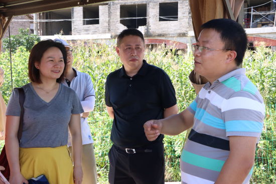 图为实践团成员参观生态流水养鱼项目。王澈 摄 图为实践团成员参观生态流水养鱼项目。王澈 摄