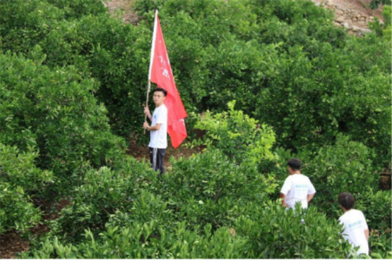 “匠心智筑”兴业先锋团实地考察脐橙产业园。 “匠心智筑”兴业先锋团实地考察脐橙产业园。