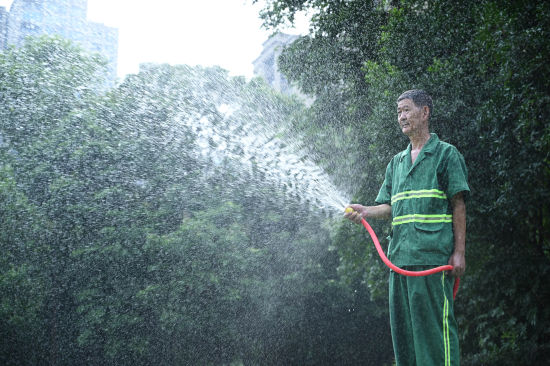 图为工人正在进行绿化养护。陈超 摄 图为工人正在进行绿化养护。陈超 摄