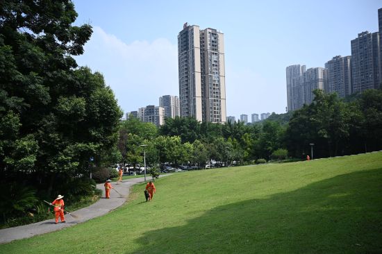 图为工人正在进行绿化养护。陈超 摄 图为工人正在进行绿化养护。陈超 摄