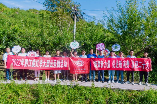 图为“云代言”部分视频截图及代言海报。黔江区委统战部供图 图为“云代言”部分视频截图及代言海报。黔江区委统战部供图