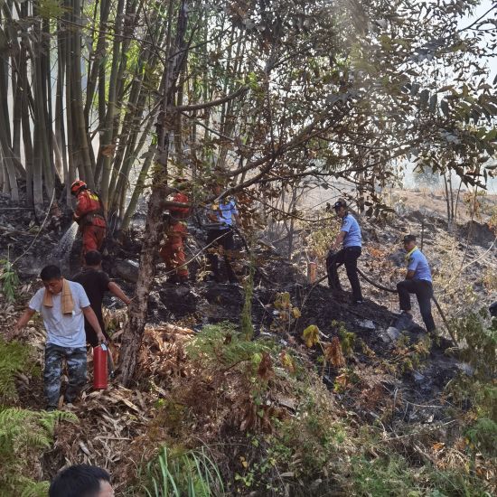 图为现场救援人员参与灭火。