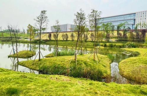 图为五云湖公园一隅。林同棪国际 供图 图为五云湖公园一隅。林同棪国际 供图