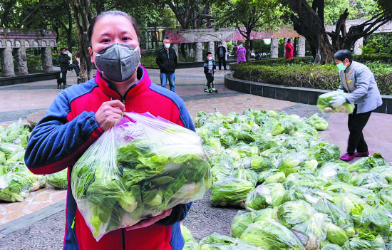 抱着刚领到的一大包蔬菜,枫桥水郡小区6栋居民余凤感到很惊喜。 抱着刚领到的一大包蔬菜,枫桥水郡小区6栋居民余凤感到很惊喜。