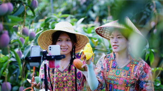广西百色芒果园里的壮族女孩正通过中国移动5G网络进行在线直播。重庆移动供图