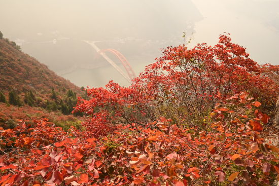图为巫山hong 图为巫山hong