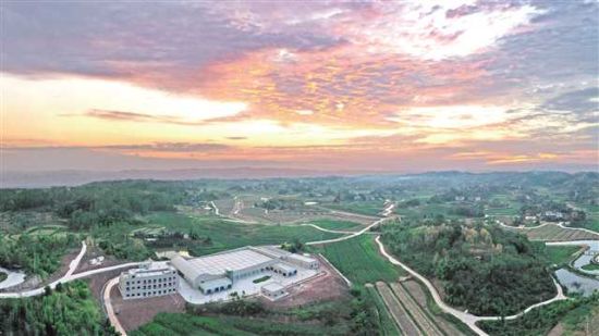 永川与西南大学夏庆友教授团队深化合作建设的重庆首个现代蚕桑产业基地 永川与西南大学夏庆友教授团队深化合作建设的重庆首个现代蚕桑产业基地