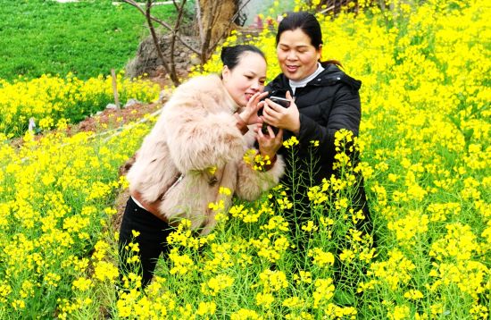 图为游客在重庆市酉阳土家族苗族自治县铜鼓镇铜西村油菜花里拍照留影。陈碧生 摄 图为游客在重庆市酉阳土家族苗族自治县铜鼓镇铜西村油菜花里拍照留影。陈碧生 摄