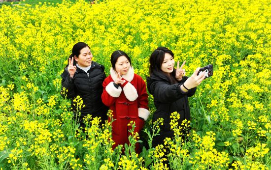 图为游客在重庆市酉阳土家族苗族自治县铜鼓镇铜西村油菜花里拍照留影。陈碧生 摄 图为游客在重庆市酉阳土家族苗族自治县铜鼓镇铜西村油菜花里拍照留影。陈碧生 摄