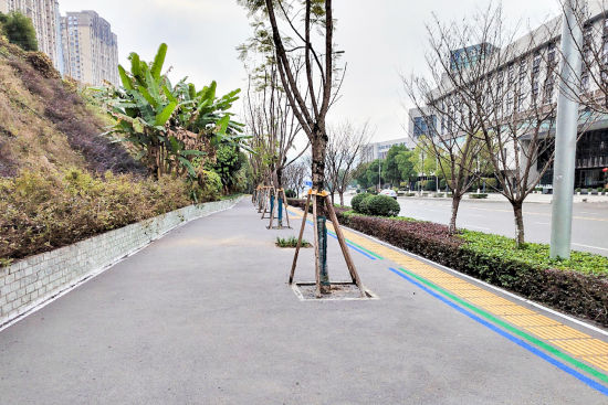 图为绿道系统工程(一期)华山南路段 渝兴公司供图 图为绿道系统工程(一期)华山南路段 渝兴公司供图