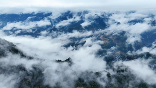 图为重庆酉阳巴尔盖国家森林公园现雨雾景观。陈碧生 摄 图为重庆酉阳巴尔盖国家森林公园现雨雾景观。陈碧生 摄