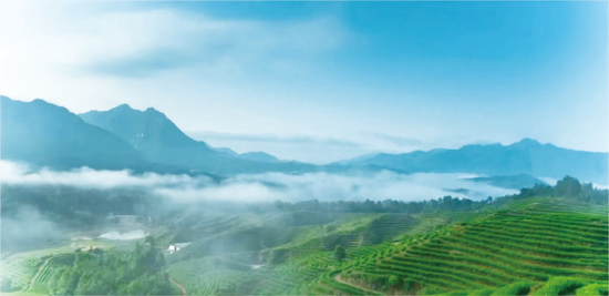 凤凰花果山景区美景。 向涛 摄 凤凰花果山景区美景。 向涛 摄