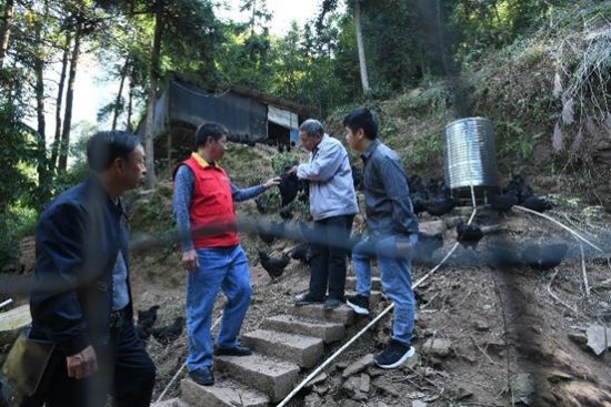 图为何刚(左二)和驻村工作队同事一起了解村民养殖情况。 王化全 摄 图为何刚(左二)和驻村工作队同事一起了解村民养殖情况。 王化全 摄