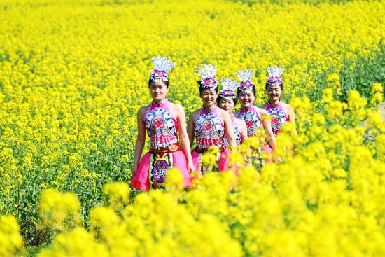 图为重庆酉阳油菜花开引客来。陈碧生 摄 图为重庆酉阳油菜花开引客来。陈碧生 摄