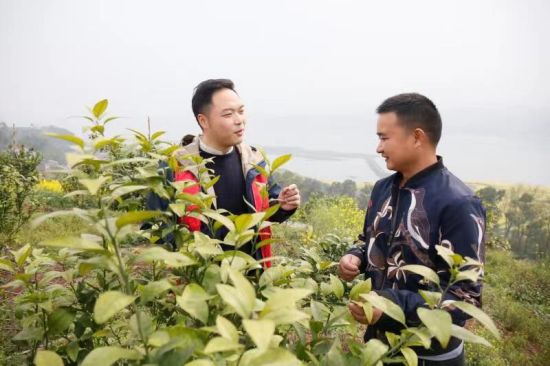 图为蒋洋与村民交流农作物长势。永川区公安局供图 图为蒋洋与村民交流农作物长势。永川区公安局供图