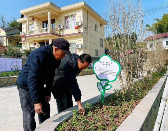 李家湾院子将房前屋后打理成鲜花满园的庭院。 铜梁区委宣传部供图 李家湾院子将房前屋后打理成鲜花满园的庭院。 铜梁区委宣传部供图