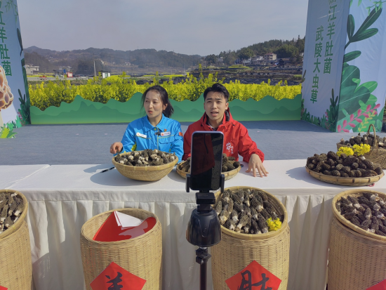 图为直播现场。黔江区委统战部供图 图为直播现场。黔江区委统战部供图
