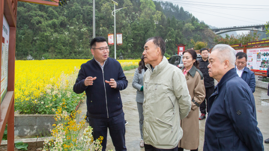 图为调研组听取铜锣村乡村振兴工作情况介绍。 重庆市慈善总会供图 图为调研组听取铜锣村乡村振兴工作情况介绍。 重庆市慈善总会供图