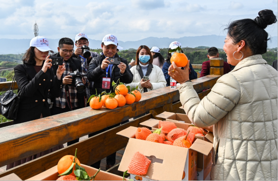 The picture shows that on March 22, 2021, the overseas Chinese media delegation visited Zhongxian County, Chongqing, focusing on constructing green ecological civilization in the reservoir area. (Photo/He Penglei)