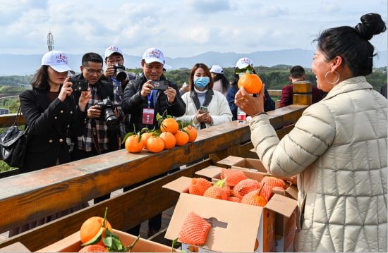 The picture shows that on March 22, 2021, the overseas Chinese media delegation visited Zhongxian County, Chongqing, focusing on constructing green ecological civilization in the reservoir area. (Photo/He Penglei) The picture shows that on March 22, 2021, the overseas Chinese media delegation visited Zhongxian County, Chongqing, focusing on constructing green ecological civilization in the reservoir area. (Photo/He Penglei)
