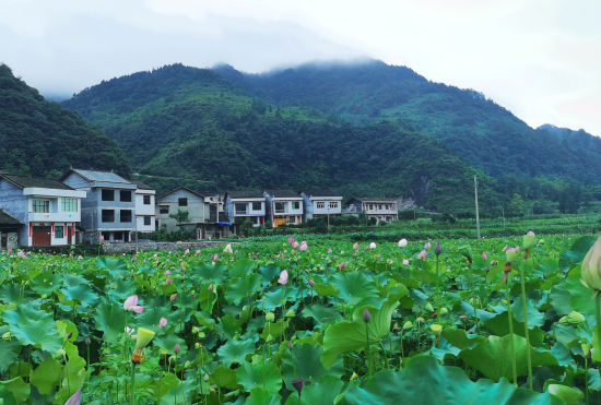 图为平所村。 重庆市慈善总会供图 图为平所村。 重庆市慈善总会供图