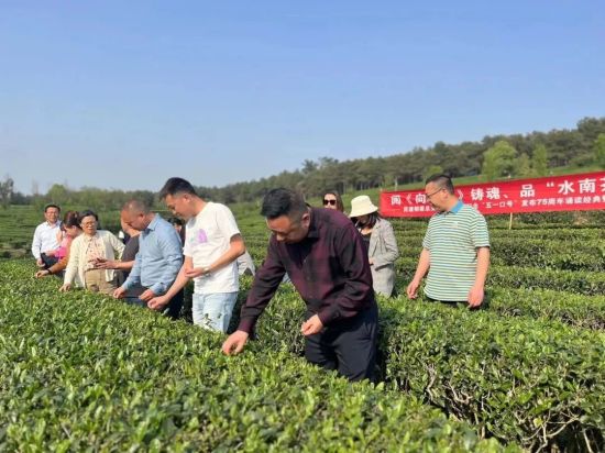 图为调研茶文化基地。 民建铜梁总支供图 图为调研茶文化基地。 民建铜梁总支供图