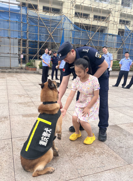 图为小朋友与警犬“握手”瞬间。张旭 摄 图为小朋友与警犬“握手”瞬间。张旭 摄