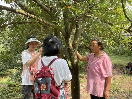 图为同学们在杨梅基地与果农交谈。 重师美院供图 图为同学们在杨梅基地与果农交谈。 重师美院供图
