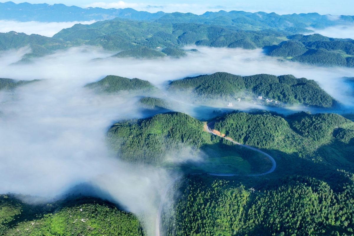 图为青山、建筑等在轻纱薄雾笼罩下,时隐时现。 陈碧生 摄 图为青山、建筑等在轻纱薄雾笼罩下,时隐时现。 陈碧生 摄