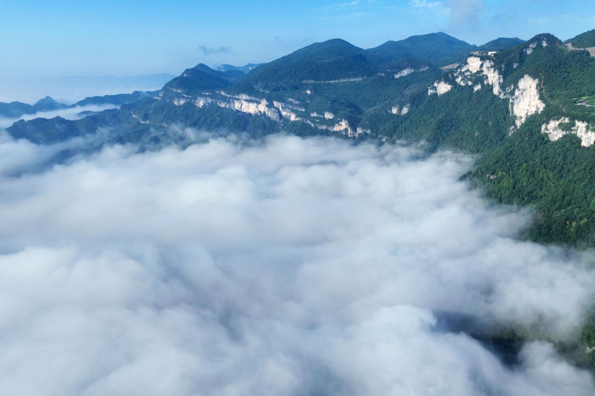 图为梦幻般的秋晨雾景。 陈碧生 摄 图为梦幻般的秋晨雾景。 陈碧生 摄