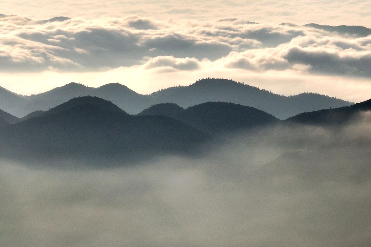 图为梦幻般的秋晨雾景。 陈碧生 摄 图为梦幻般的秋晨雾景。 陈碧生 摄