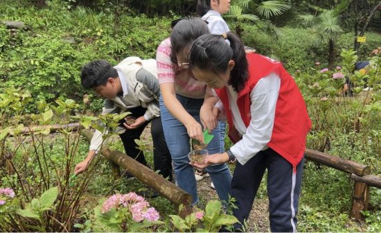 图为亲子家庭制作萤火虫生态小屋。钟旖摄 图为亲子家庭制作萤火虫生态小屋。钟旖摄