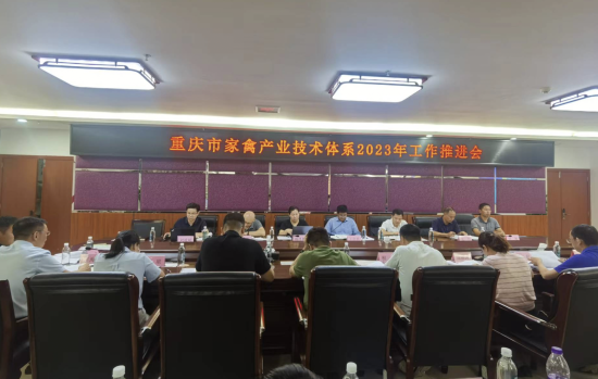 图为重庆市家禽产业技术体系2023年工作推进会现场。罗永皓 摄 图为重庆市家禽产业技术体系2023年工作推进会现场。罗永皓 摄