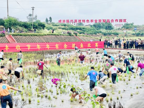 图为抓鱼比赛现场。 曹建 摄 图为抓鱼比赛现场。 曹建 摄