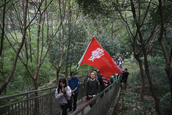 图为市民攀爬黄葛古道。活动主办方供图 图为市民攀爬黄葛古道。活动主办方供图