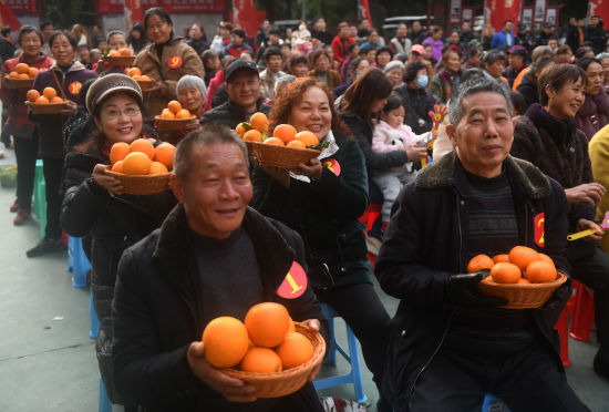 图为果农带着自家种植的橘子参加“果王”争霸战。王迪 摄 图为果农带着自家种植的橘子参加“果王”争霸战。王迪 摄